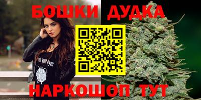 дмт Славгород