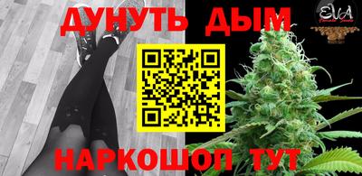 стаф Сланцы