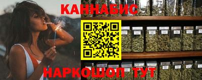 стаф Сланцы