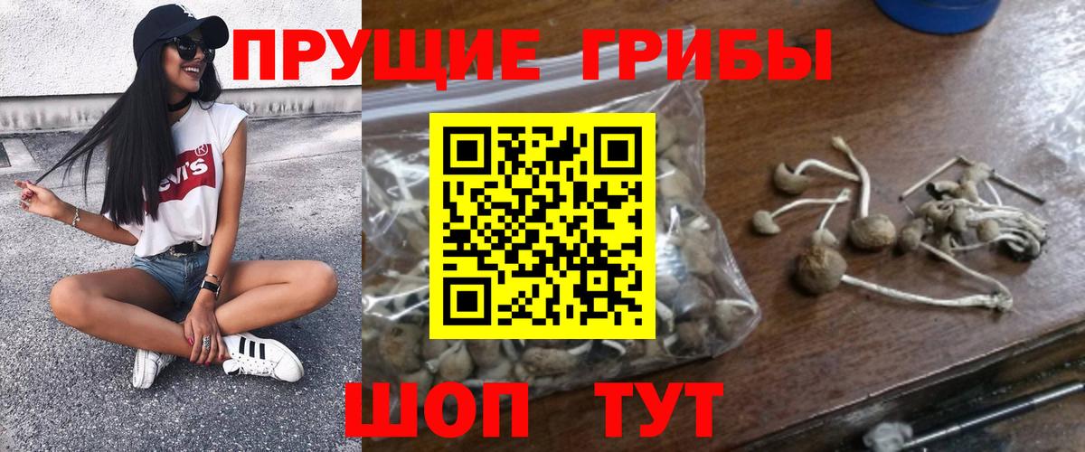 Галлюциногенные грибы Cubensis  Вход с VPN  купить  цена  Павлово 