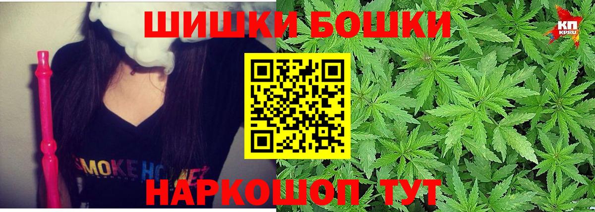Каннабис планчик Павлово